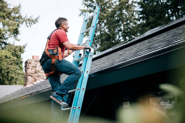 Professional Roofing Services in Pierson, FL